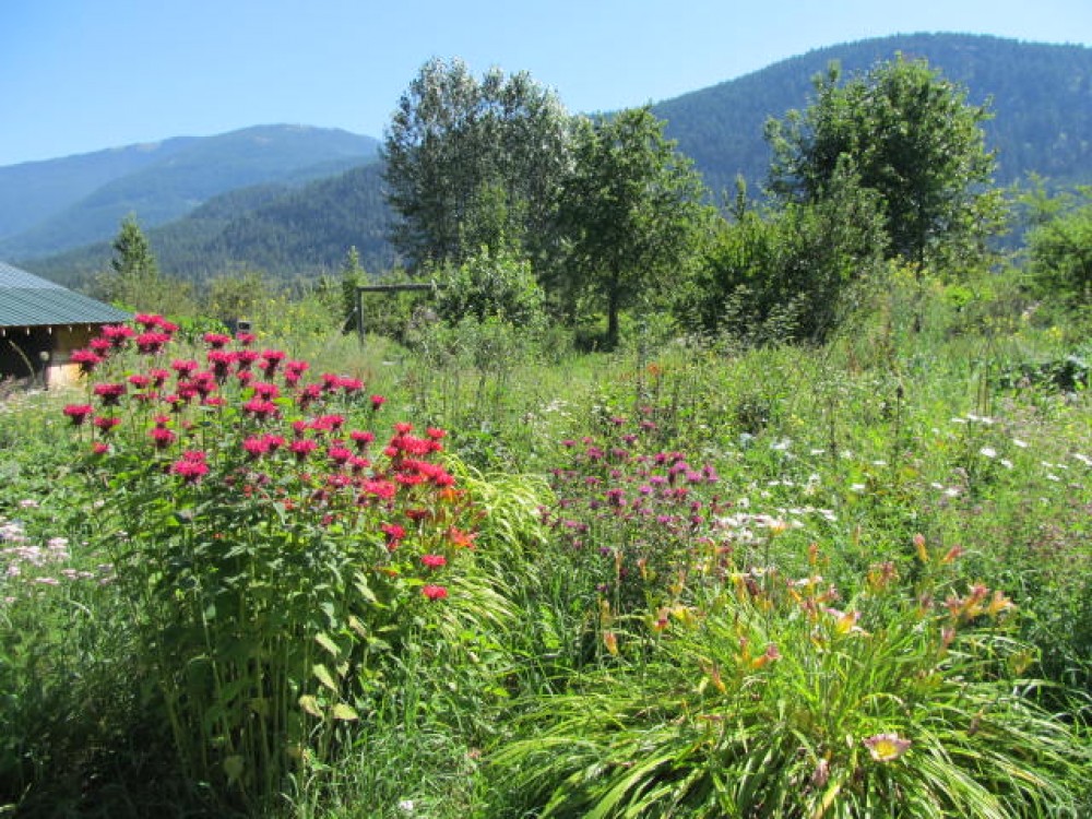 Spiral News by Kootenay Permaculture
